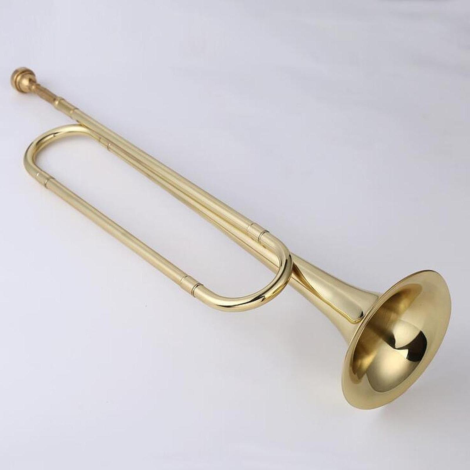 Terompet B Flat, Terompet Tim  - Musical Instrument Bugle ulasan dan harga